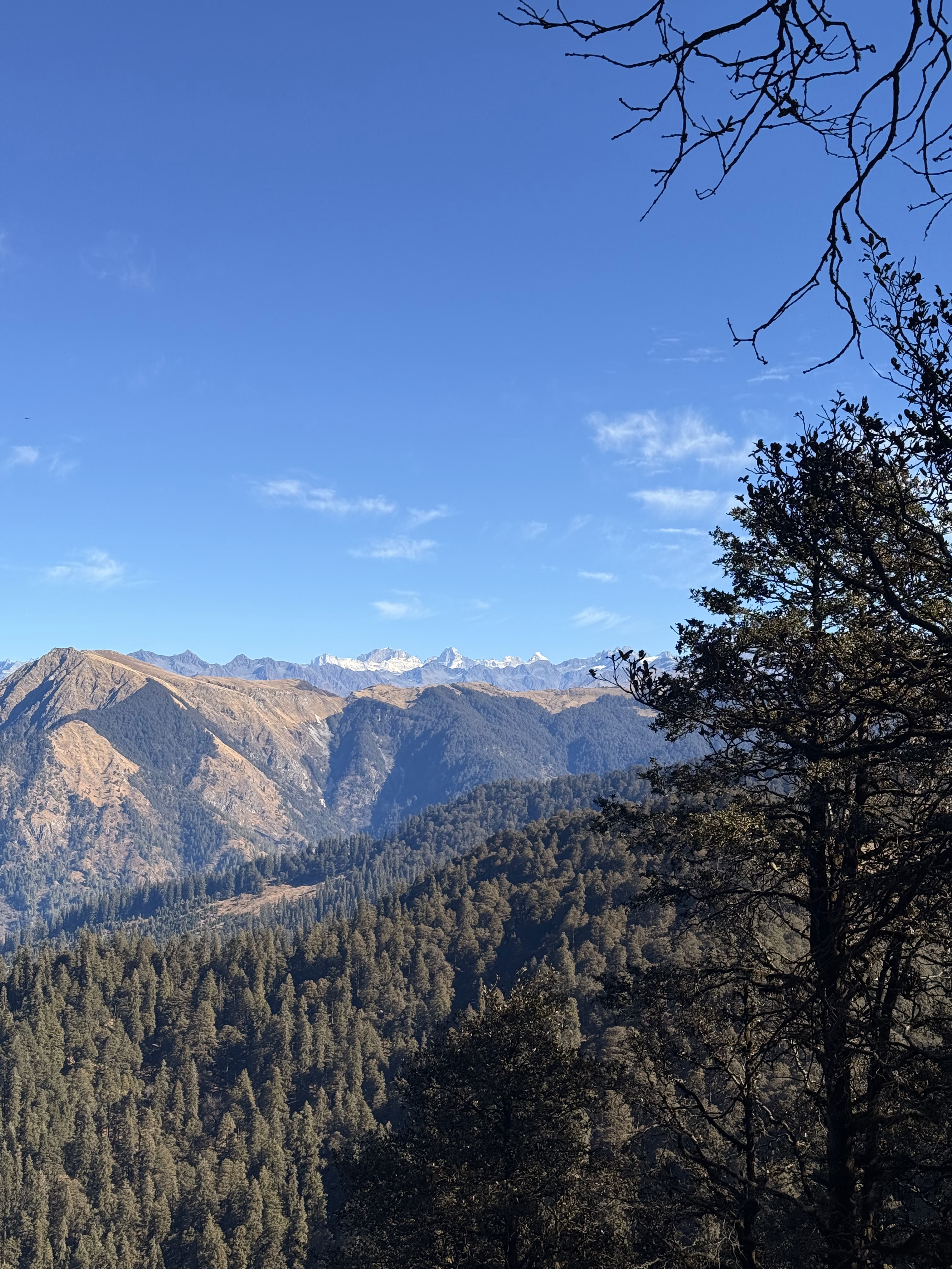 Jalori Pass Near Jibhi - Mountain Trek from Emberwood