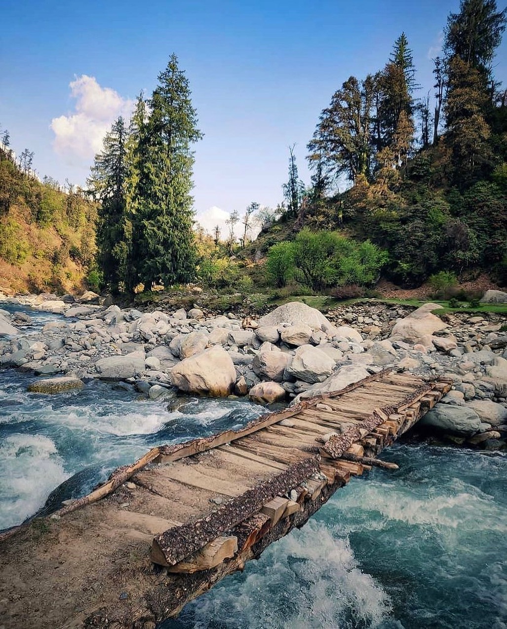 Tirthan River - Trout Fishing and Rafting Near Emberwood