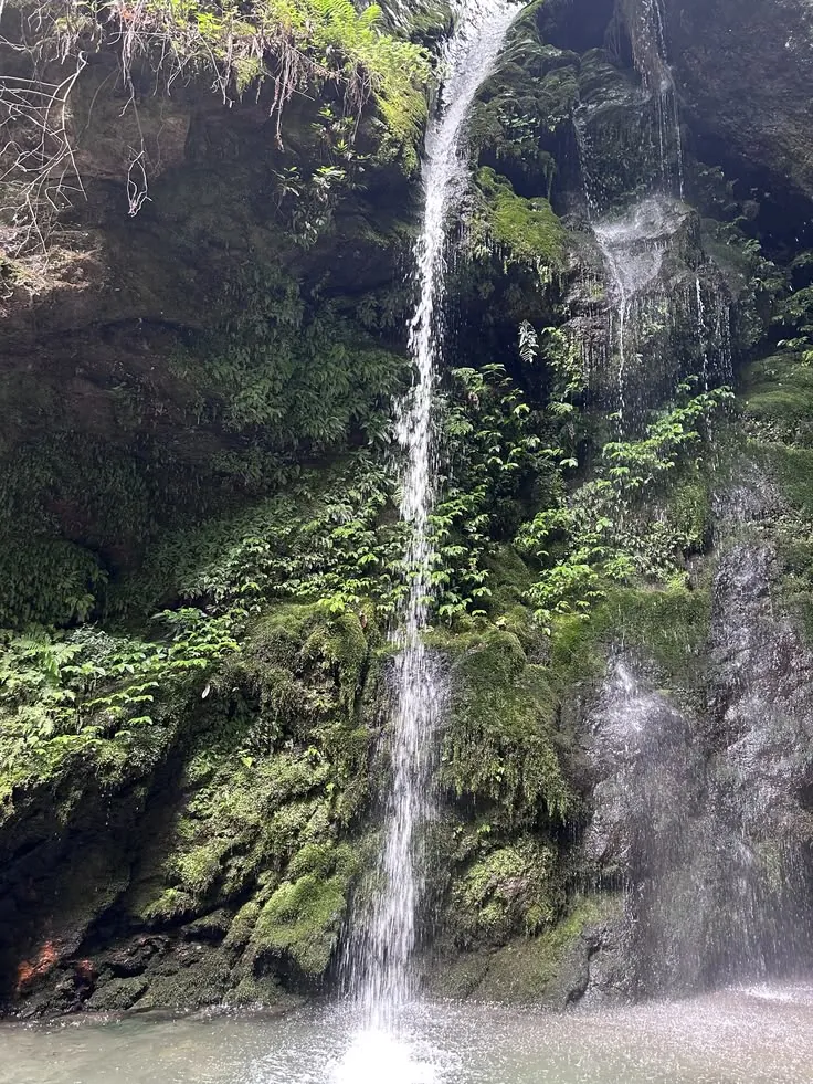 Jibhi waterfall falling over moss-covered rock and ferns