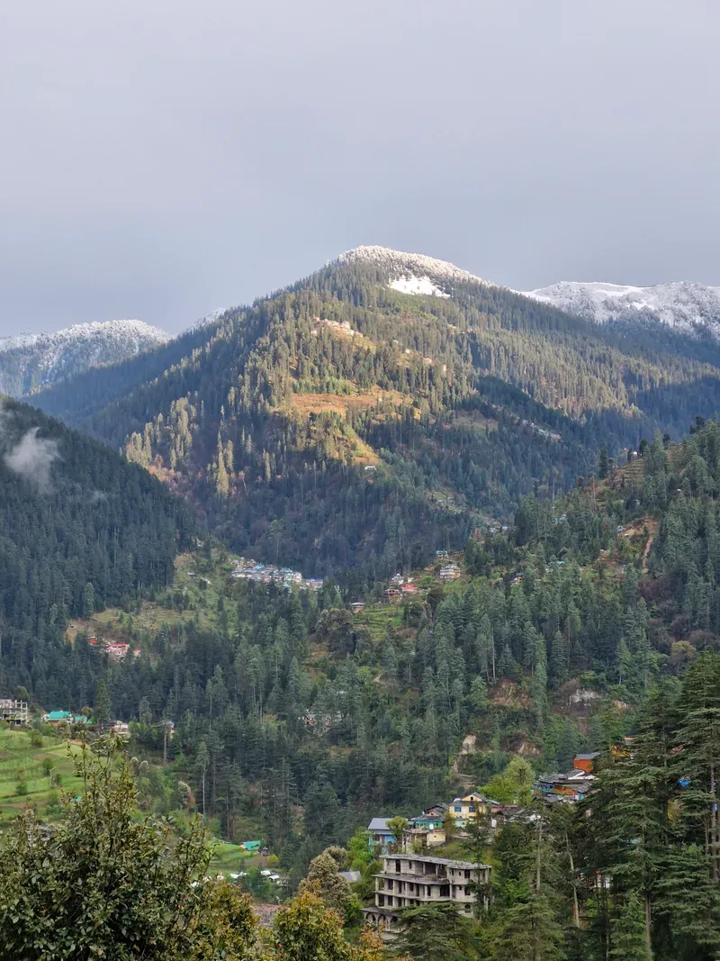 Snow-dusted Himalayan peaks above the forested slopes near Jibhi